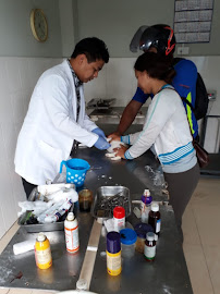 Veterinary Polyclinic Hospital Medical Services | Veterinary