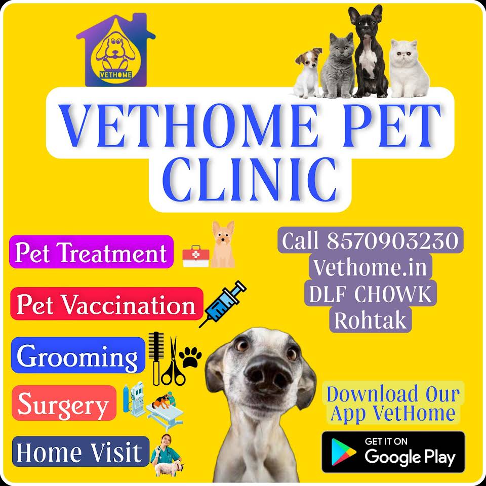 VetHome Pet Clinic|Clinics|Medical Services