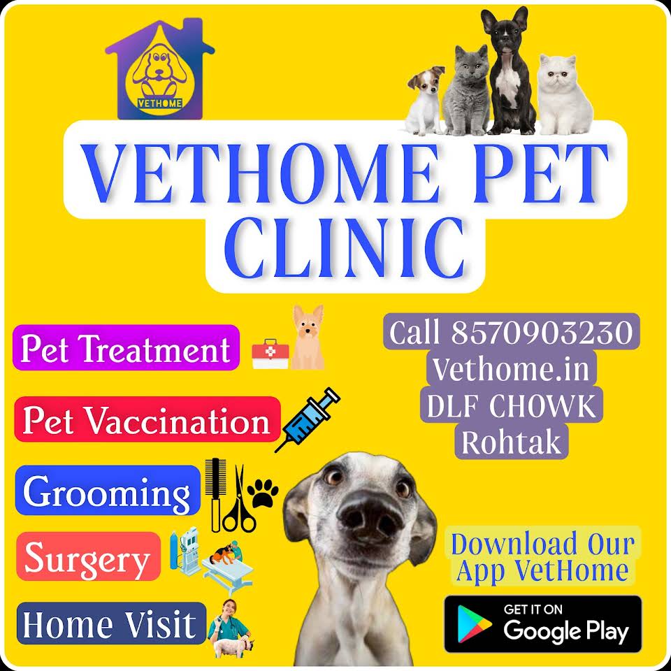 VetHome Pet Clinic - Logo