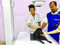 VETLAB KOLKATA Medical Services | Veterinary