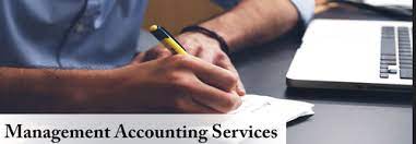 Vian Outsourced Accounting Services Professional Services | Accounting Services