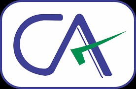 Vinayak Accounting - Logo