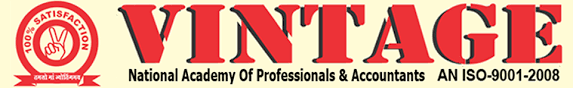 Vintage Academy of Professionals Logo