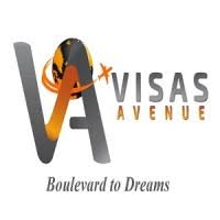 Visas Avenue Pvt Ltd.|IT Services|Professional Services