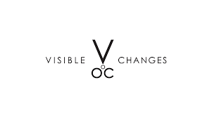 Visible Change - Logo