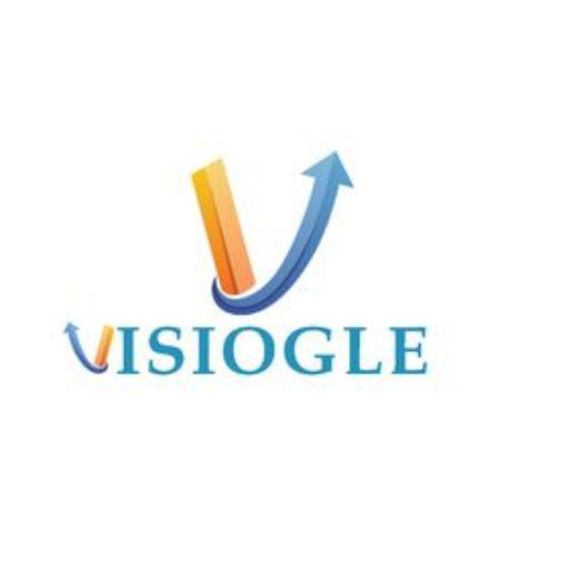 Visiogle|IT Service|Professional Services