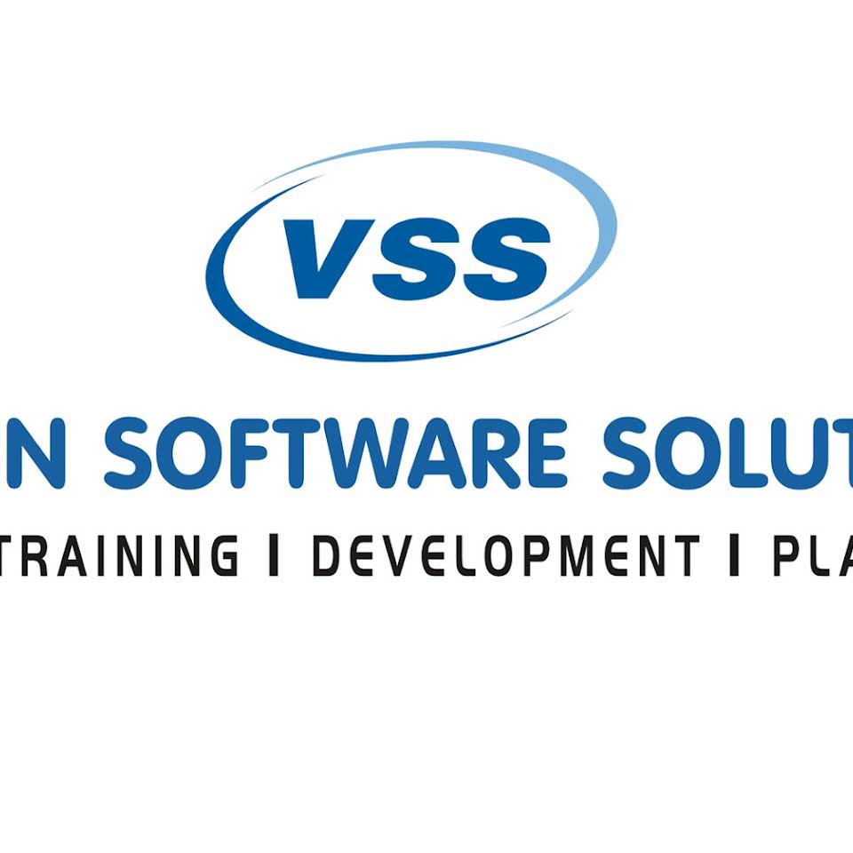 Vision Software Solution Logo