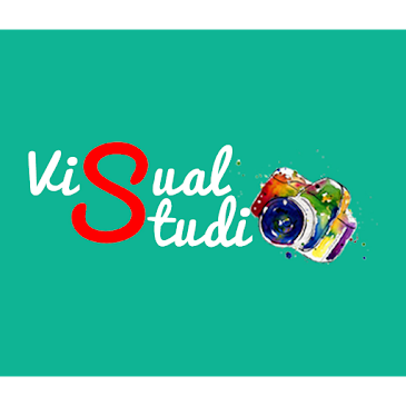 VISUAL STUDIO Logo