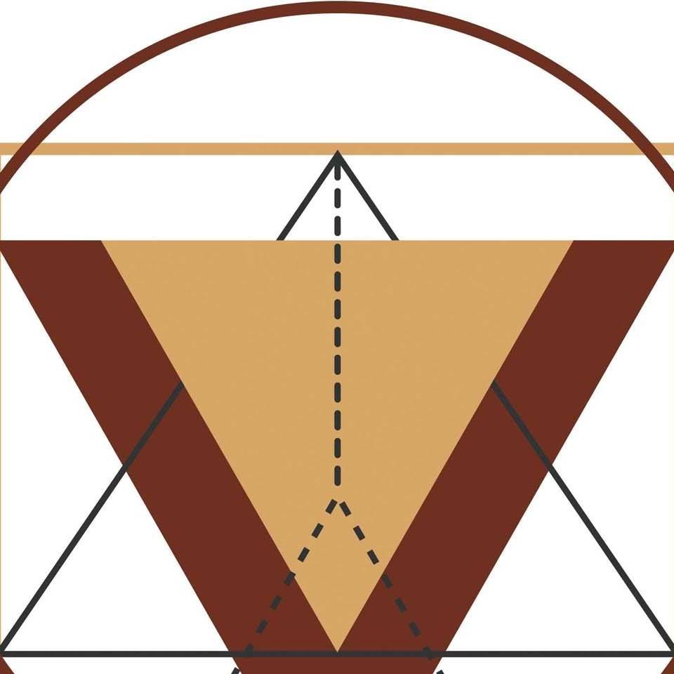 Vitruvian|Architect|Professional Services