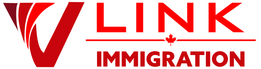 VLINK IMMIIGRATION Logo