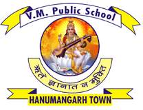 VM Sr. Sec. School - Logo