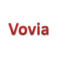 Vovia Buildtech|IT Services|Professional Services
