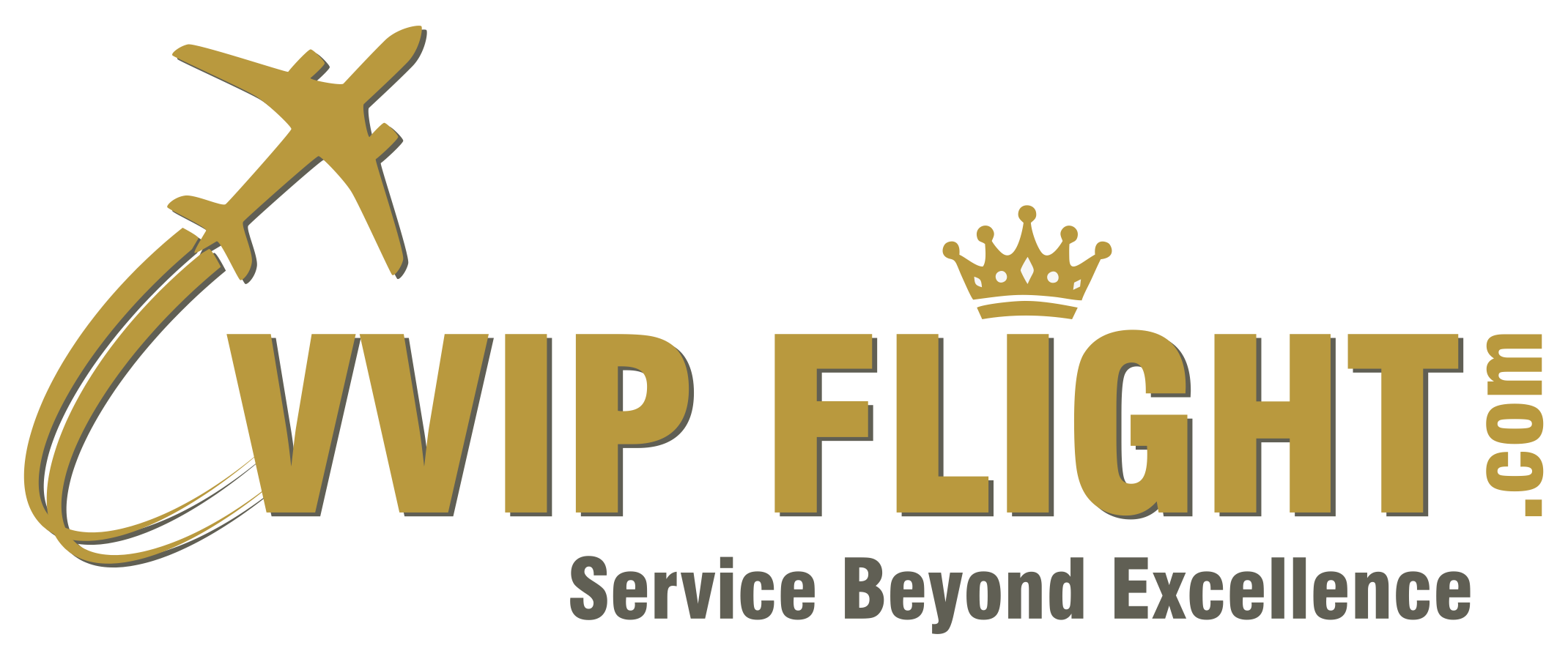 VVIP Flight|IT Services|Professional Services