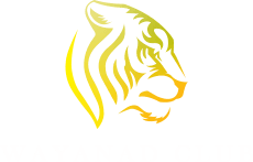 Wayanad Club|Resort|Accomodation