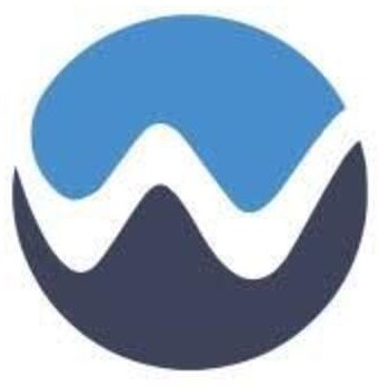 Webelight Solutions Pvt. Ltd.|Company|Business Services