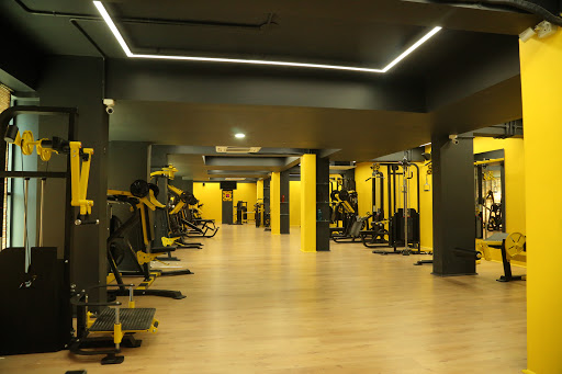 Why Not Gym Active Life | Gym and Fitness Centre