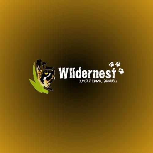 Wildernest Resort Dandeli|Resort|Accomodation