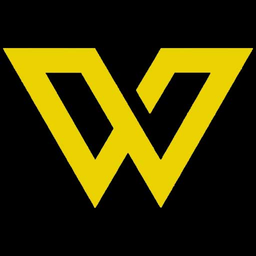 Wisdom Infosoft Pvt Ltd|Marketing Company|Professional Services