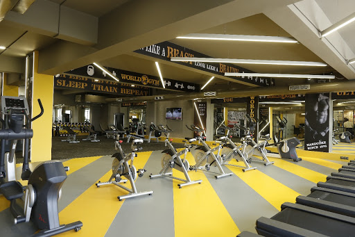 World Gym Ahmedabad Active Life | Gym and Fitness Centre