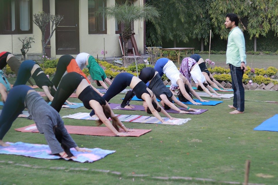 World Peace Yoga School Active Life | Yoga and Meditation Centre