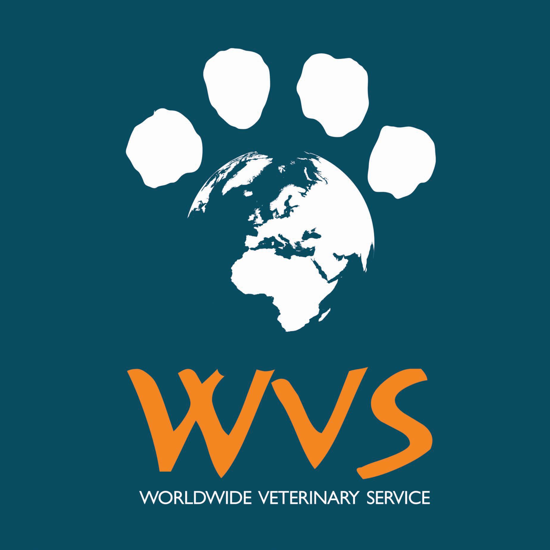 WVS HICKS - Logo