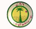 Z A Islamia P G College Logo
