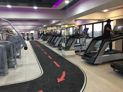Z Fitness Studio Pvt. Ltd. Platinum Active Life | Gym and Fitness Centre