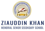 Ziauddin Khan Memorial Senior Secondary School|Colleges|Education