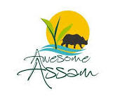 Assam icon